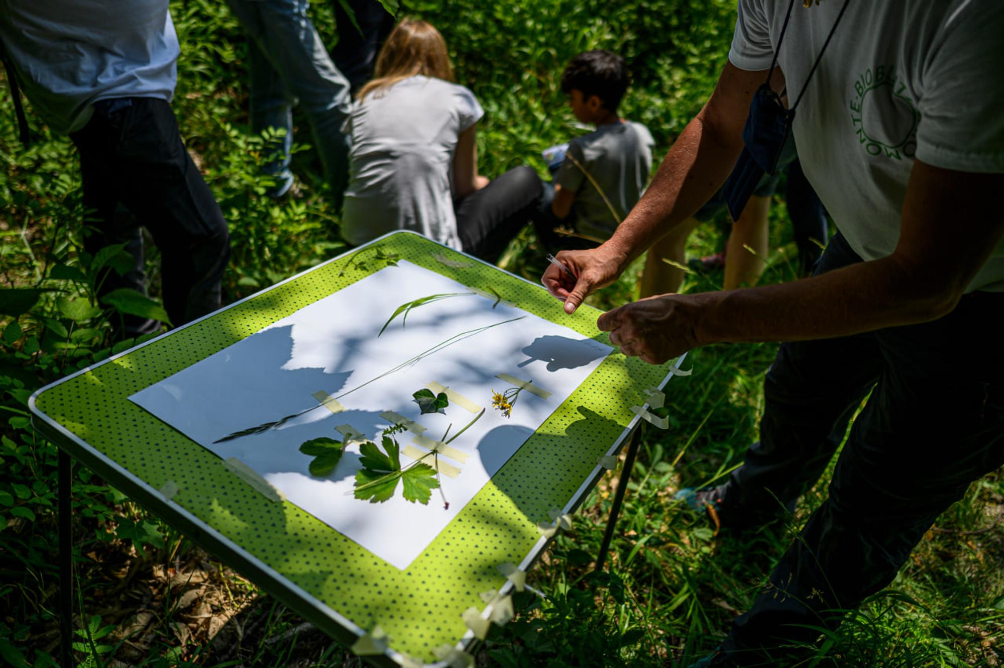 Bioblitz 2023 : une journée consacrée à la biodiversité