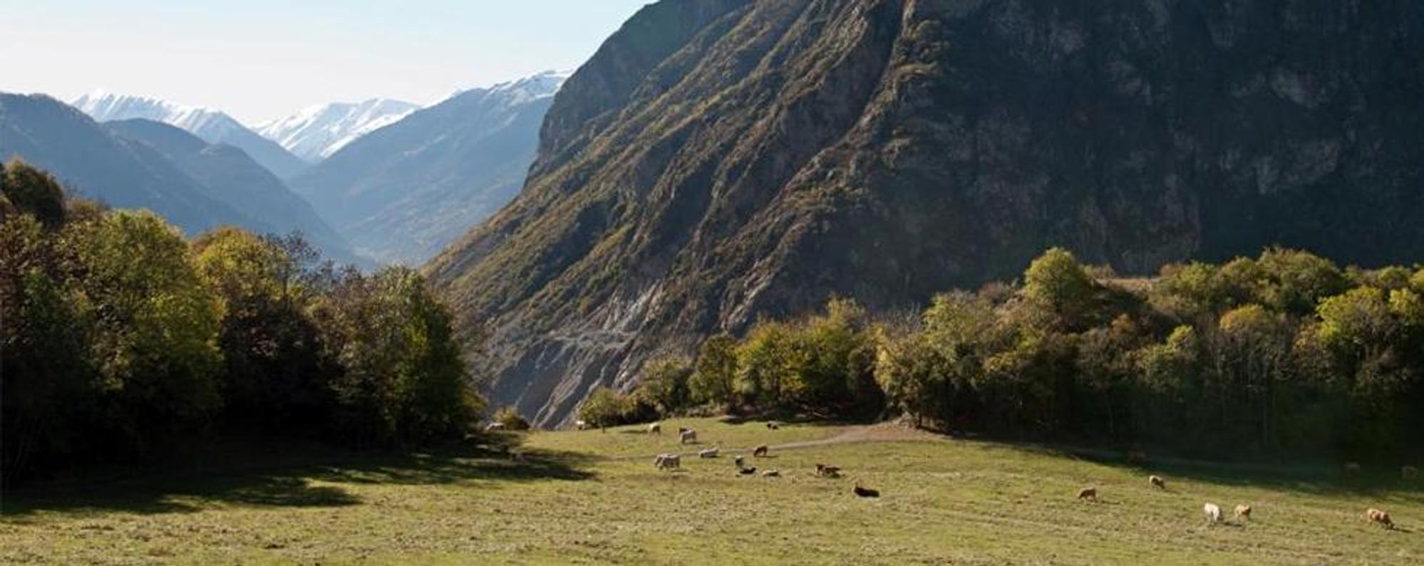 TELT s’engage pour la valorisation des terres agricoles