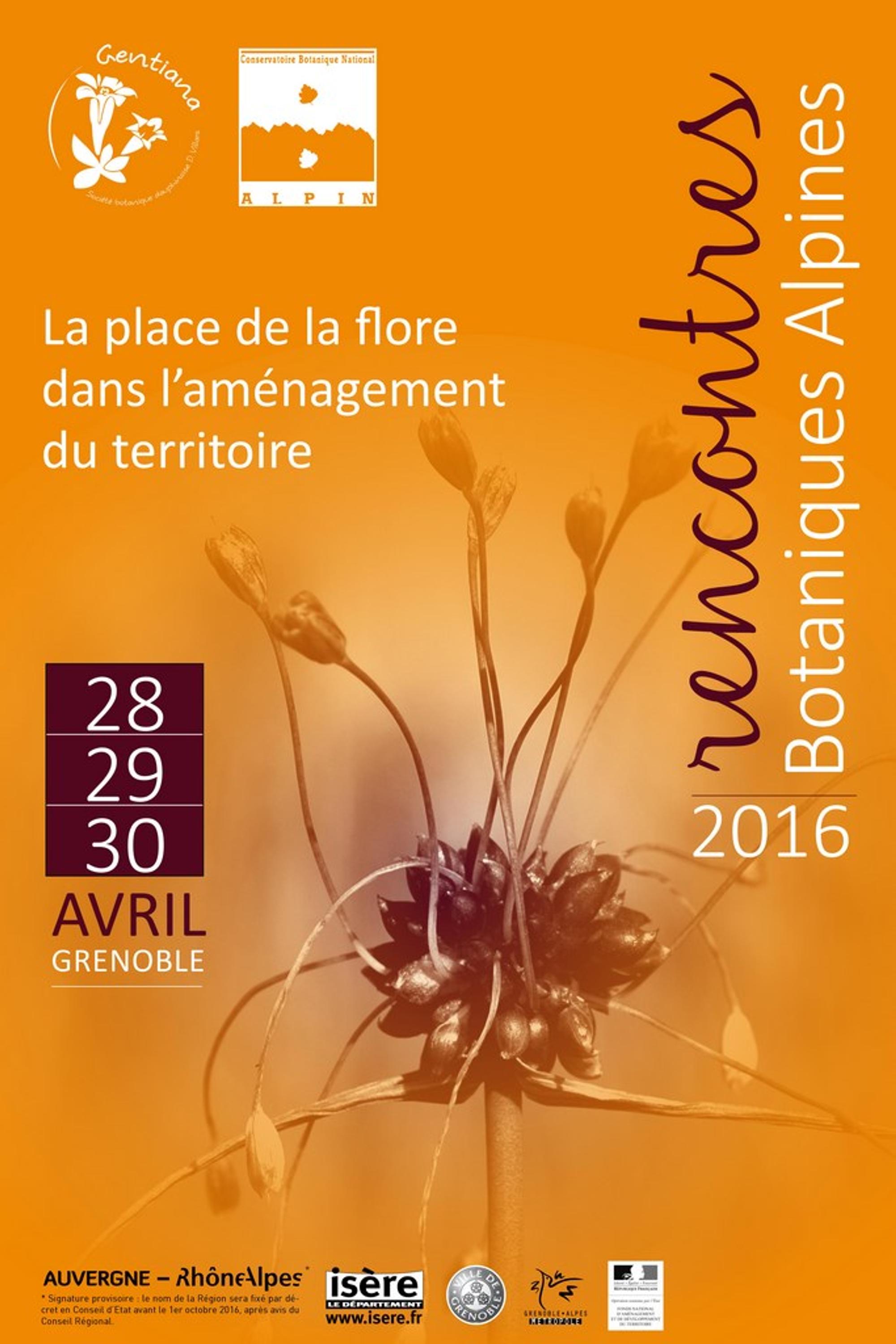 Les tulipes de TELT