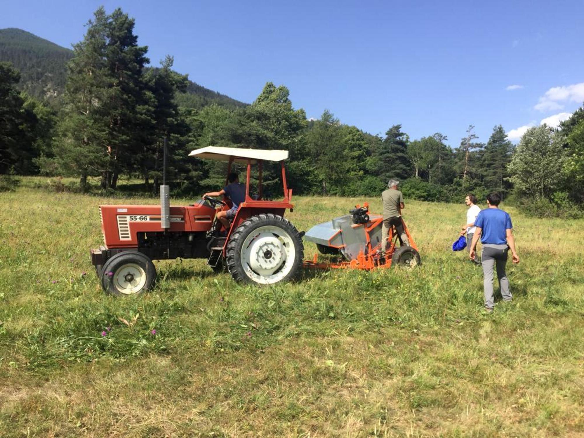 Projet Biodiversité : « Brossage » des prairies en val de Suse pour des graines locales