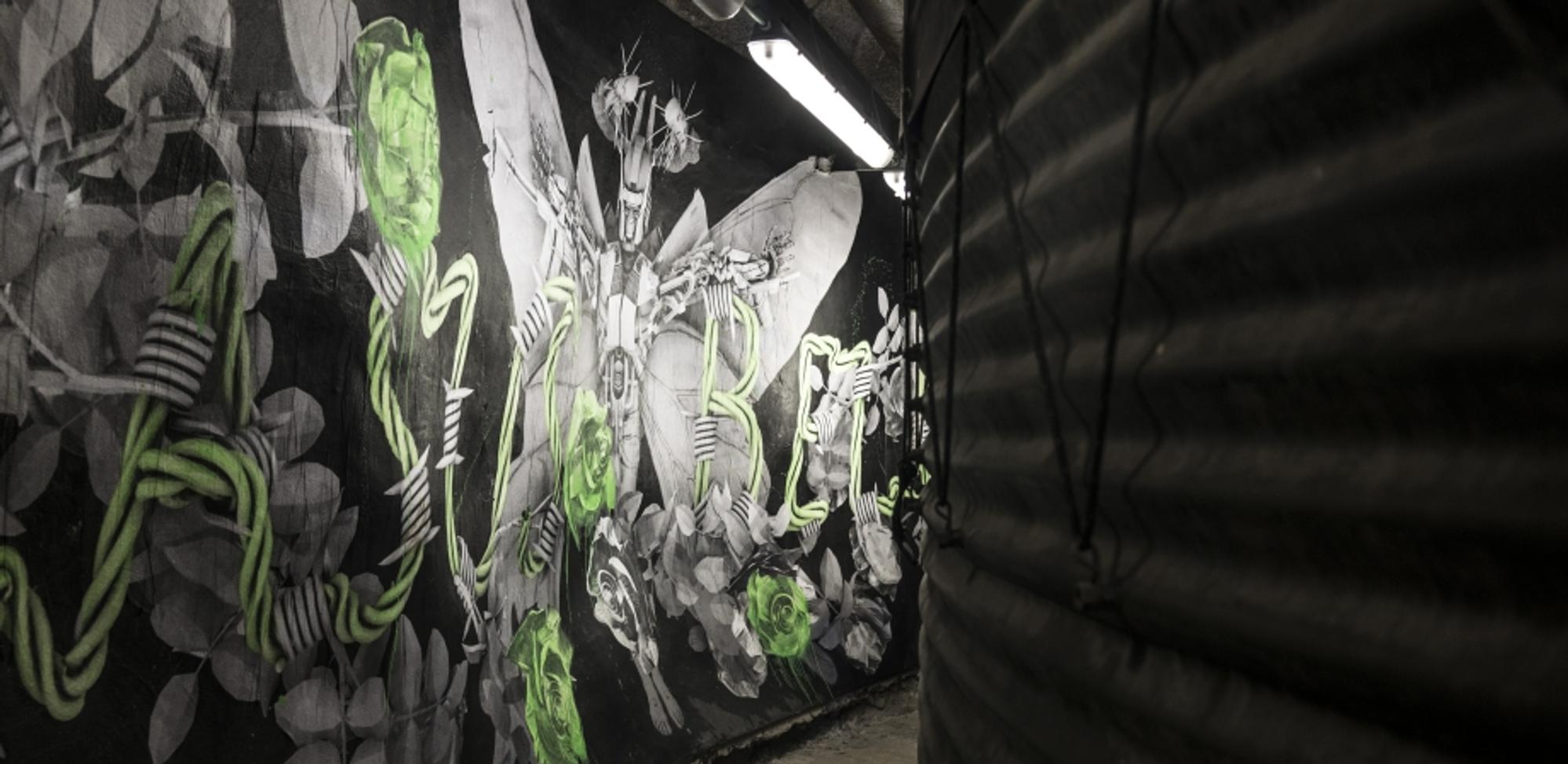 TELT and the tunnel art work project