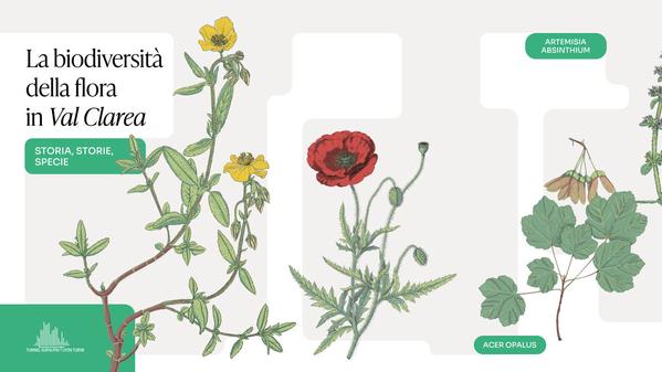 L’histoire de la biodiversité de la vallée de la Clarea à travers un livre