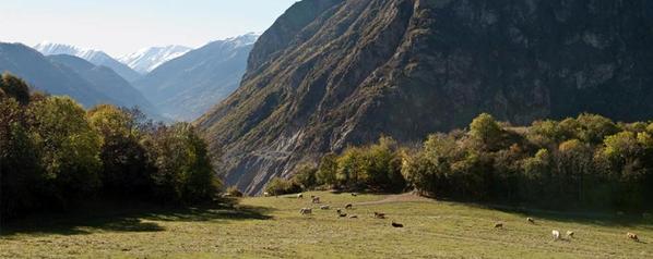 TELT s’engage pour la valorisation des terres agricoles