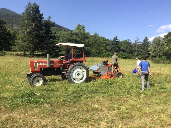 Projet Biodiversité :  « Brossage » des prairies en val de Suse pour des graines locales