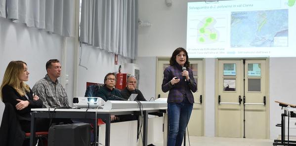 Un corridor écologique pour protéger le papillon Zerynthia